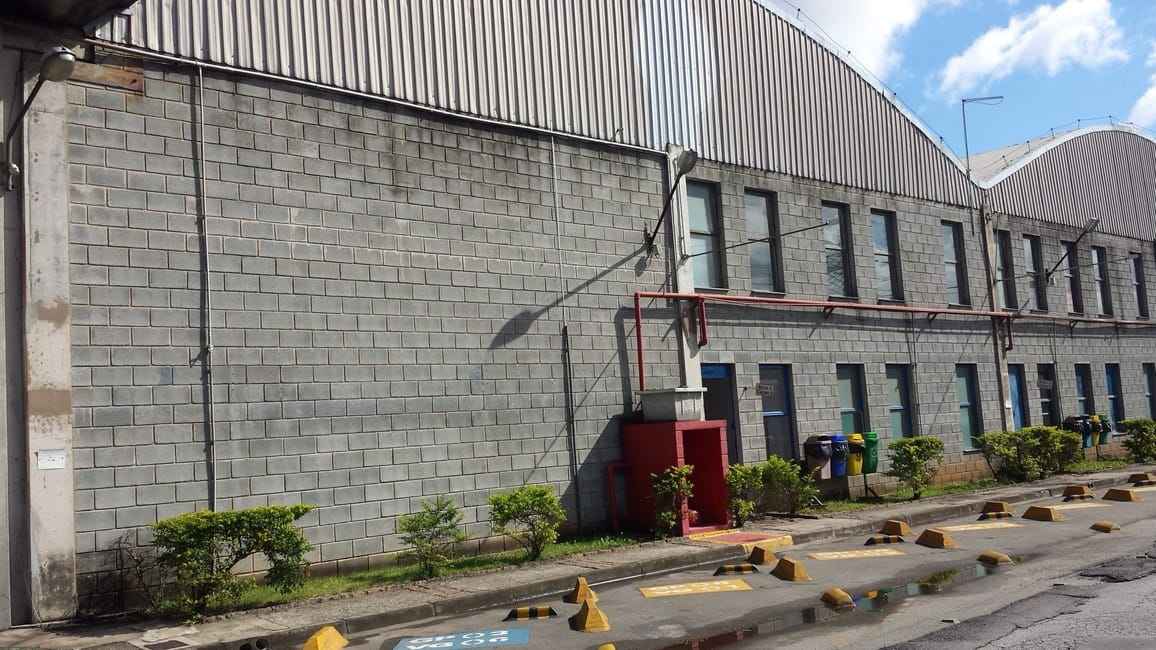 Imagem 43 - 74260415