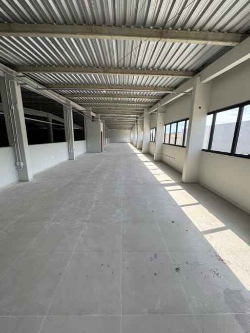 Imagem 11 - 35006055