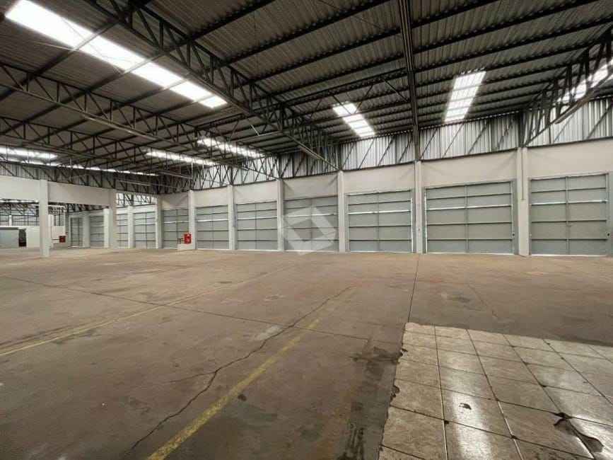 Imagem 13 - 35006629