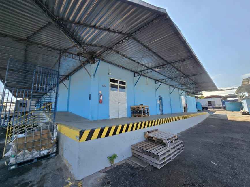 Imagem 18 - 35008039