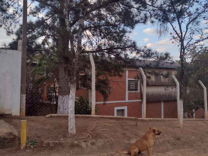 Imagem 41 - 32059552