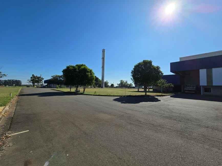 Imagem 43 - 35007677