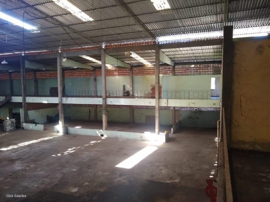 Imagem 44 - 32059277