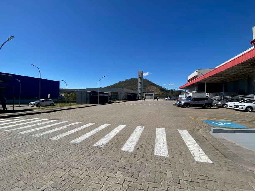 Imagem 13 - 74259515