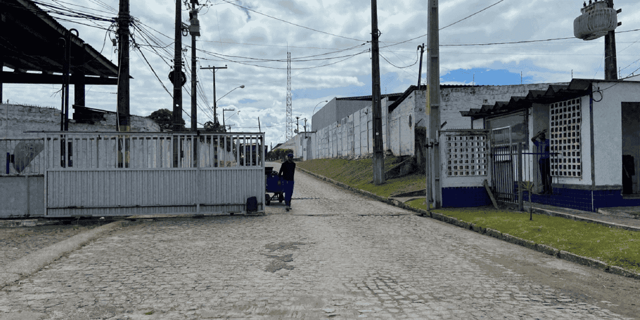 Imagem 11 - 74259830