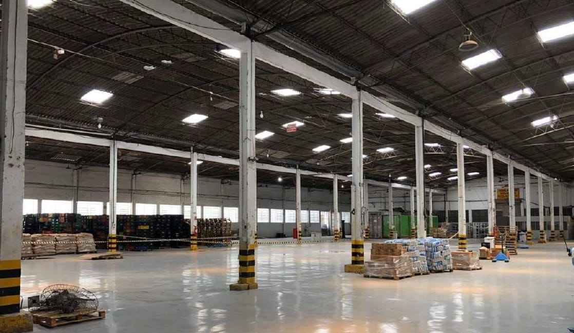 Imagem 13 - 32059781