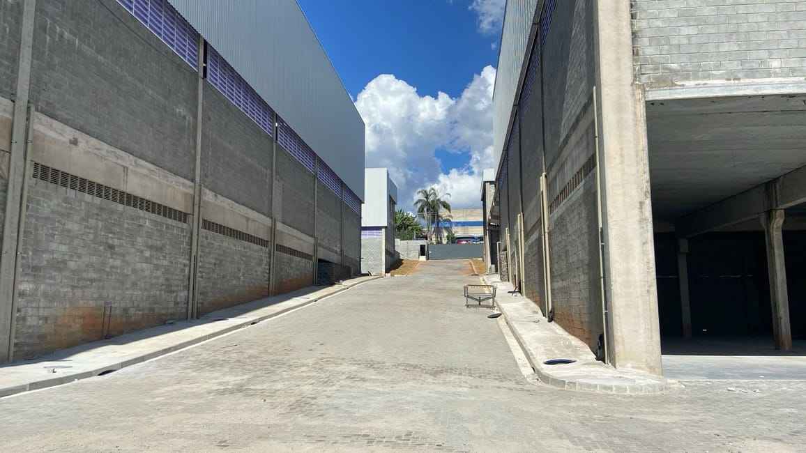 Imagem 38 - 72483998