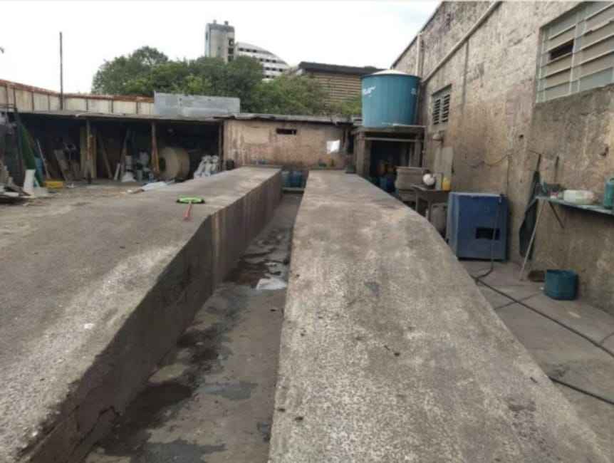 Imagem 13 - 35007009