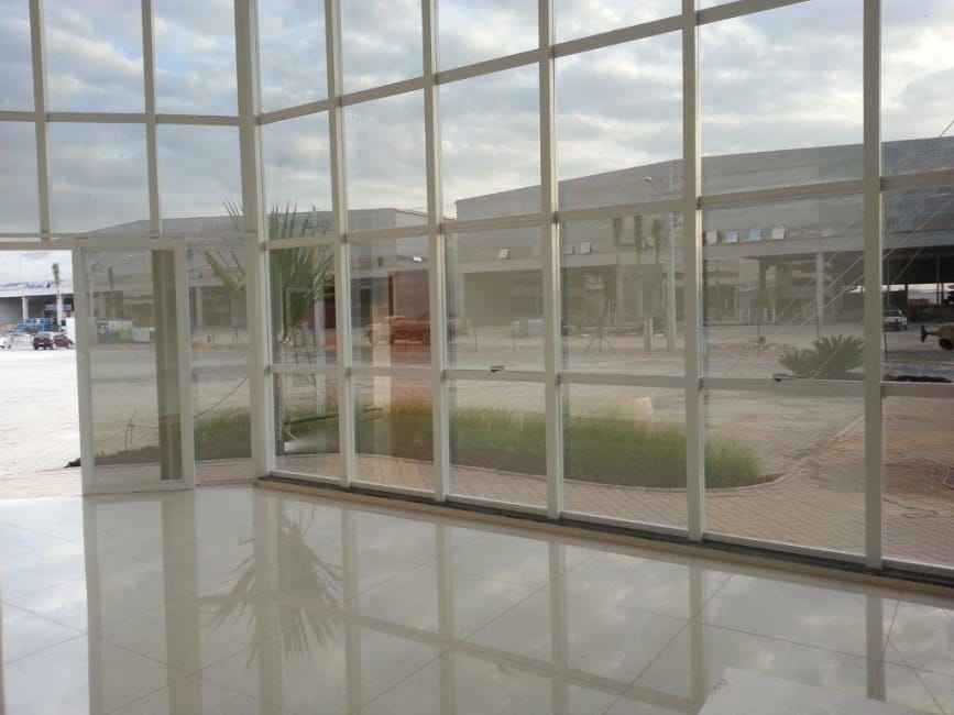 Imagem 43 - 35003472