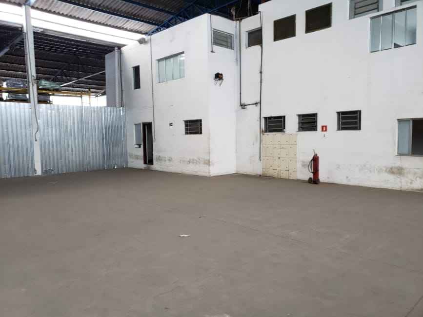 Imagem 16 - 73243213