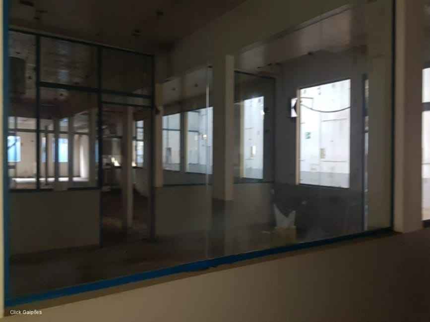 Imagem 11 - 72248327