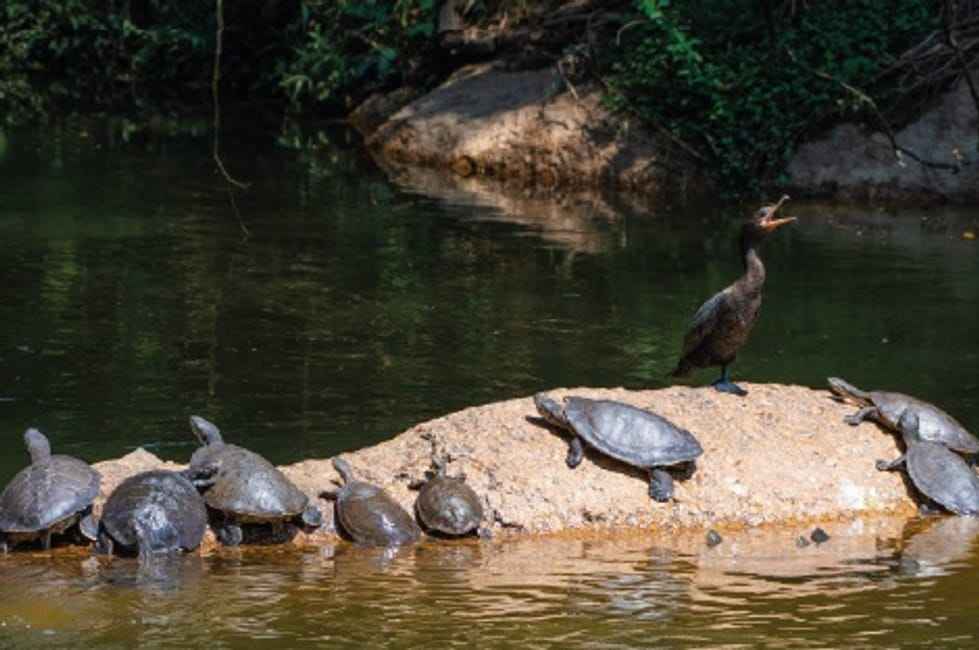 Imagem 23 - 35002209