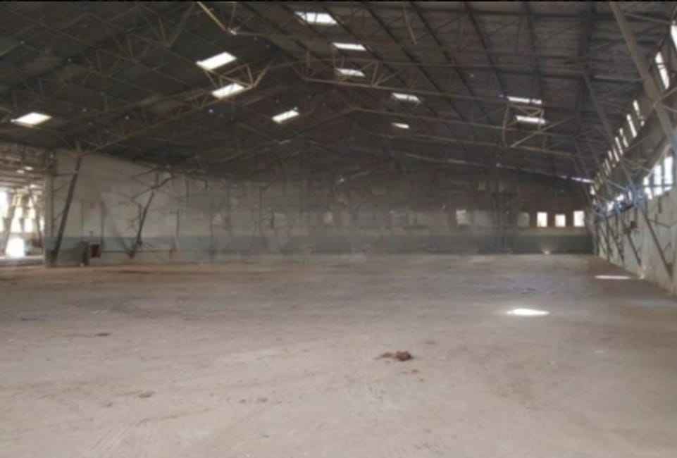 Imagem 14 - 35007017