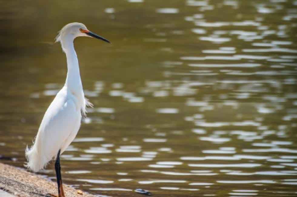 Imagem 24 - 35002209