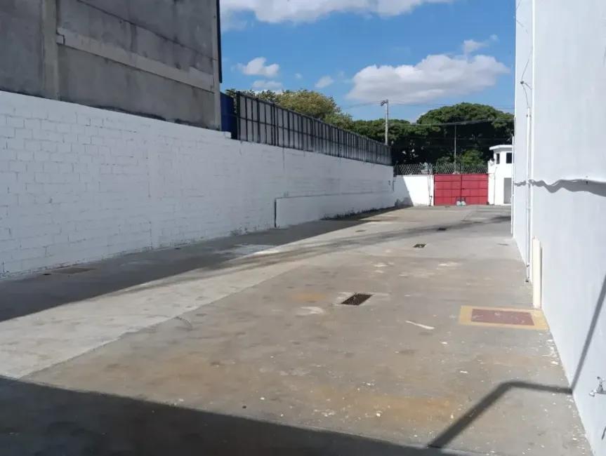 Imagem 11 - 35007937