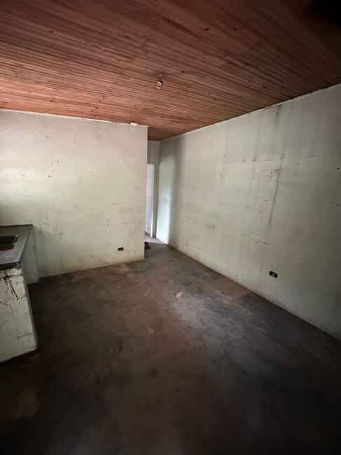 Imagem 14 - 70807246