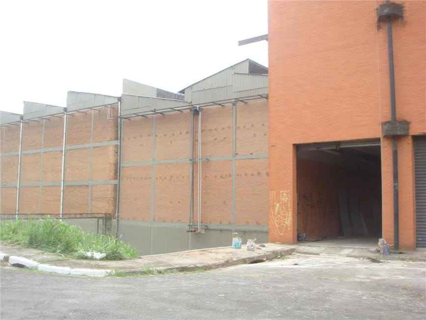 Imagem 11 - 74808694