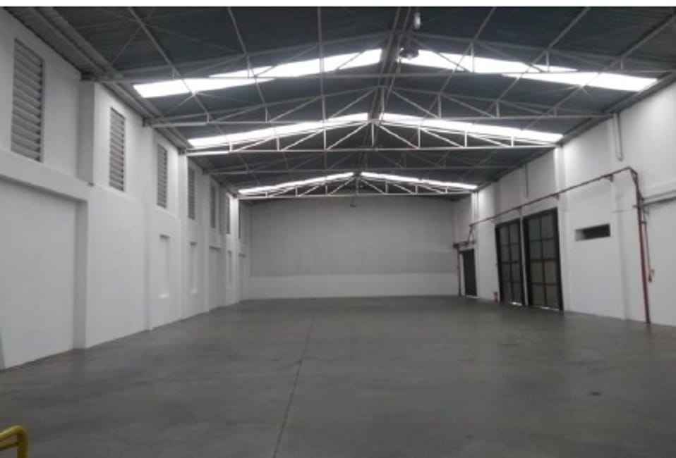 Imagem 11 - 74259423