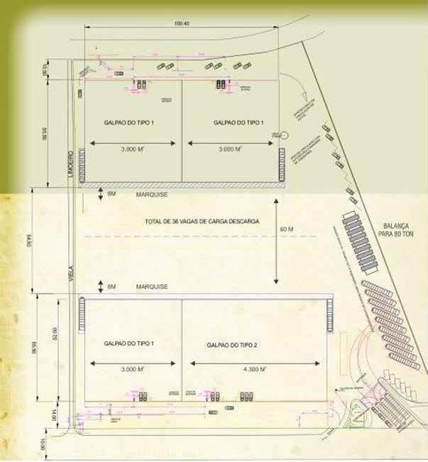 Imagem 11 - 74259652