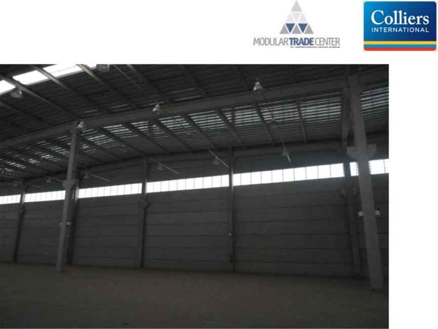 Imagem 21 - 32351935