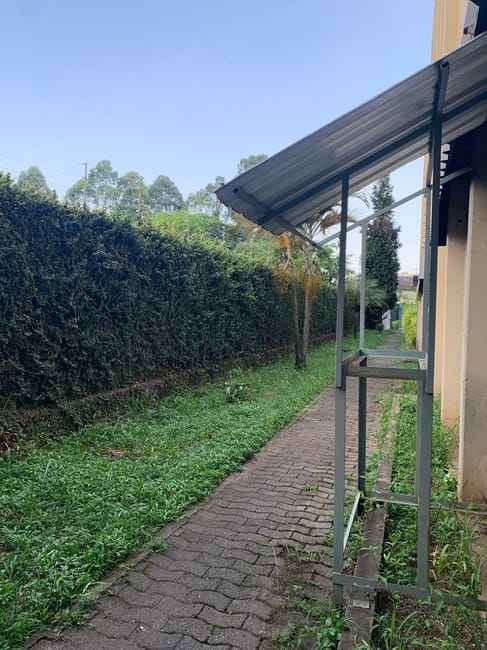 Imagem 54 - 35007020