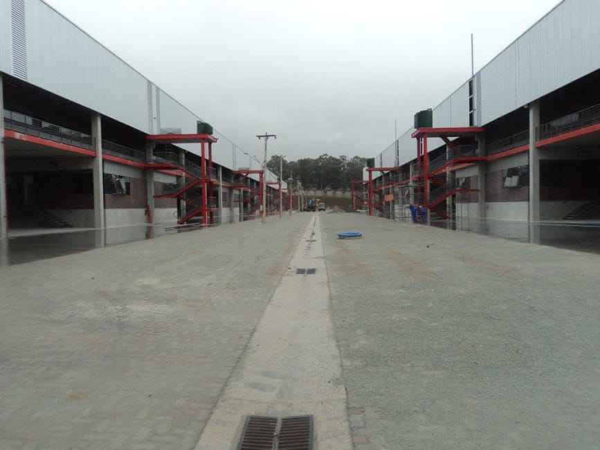 Imagem 14 - 74259342