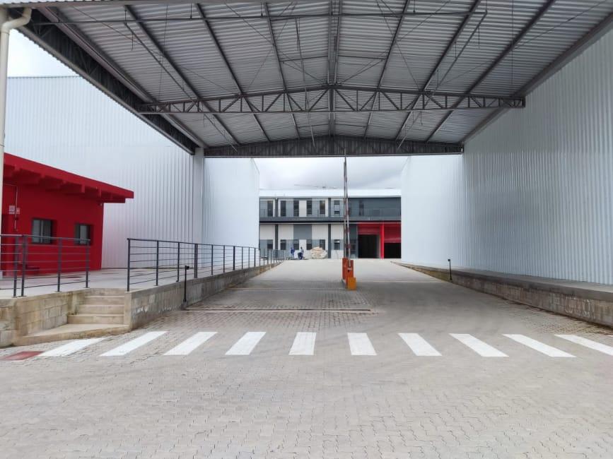 Imagem 17 - 74259801