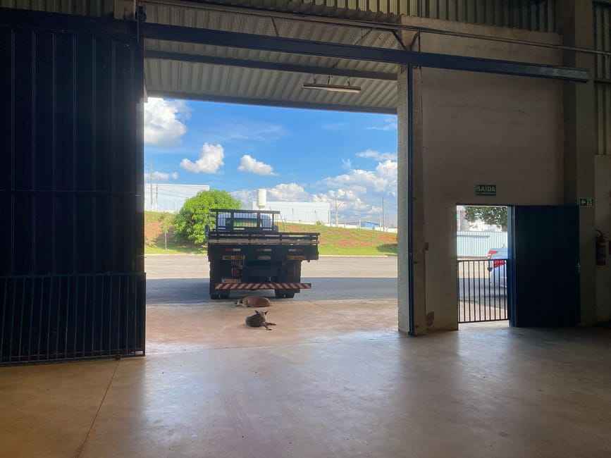 Imagem 12 - 35006539