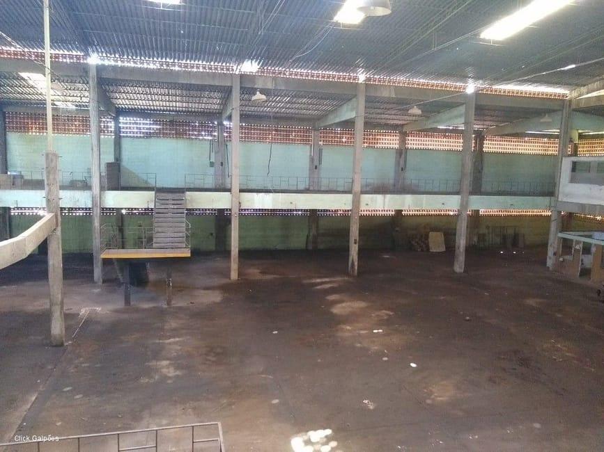 Imagem 40 - 32059277