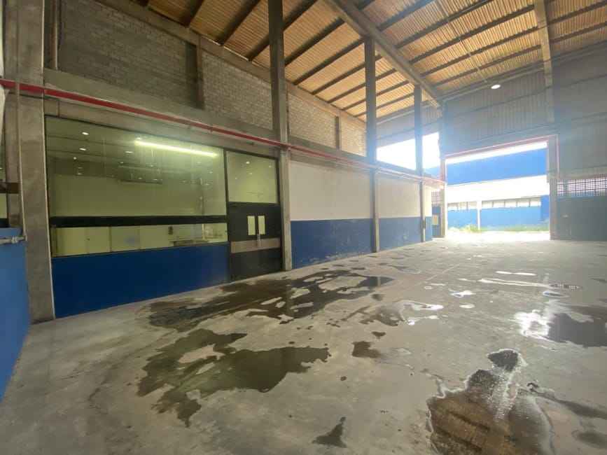 Imagem 15 - 71374619