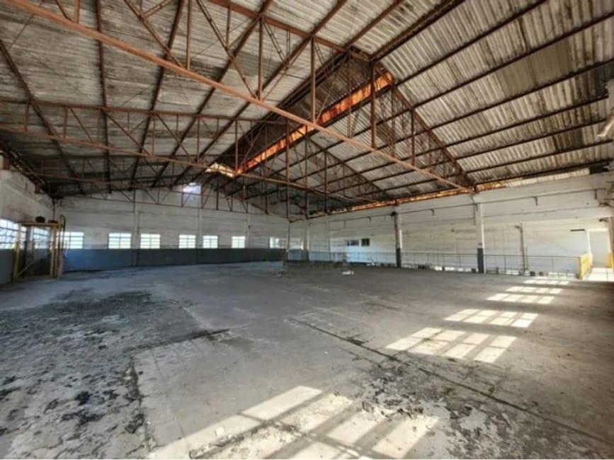 Imagem 10 - 35006883