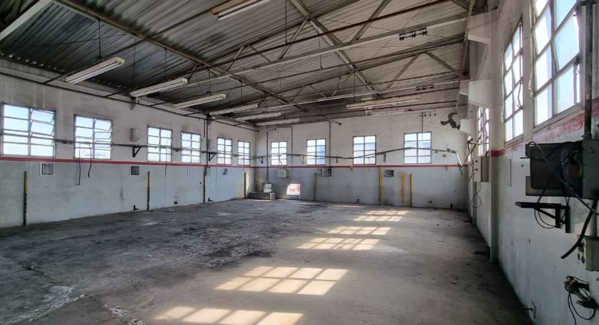 Imagem 11 - 35006946