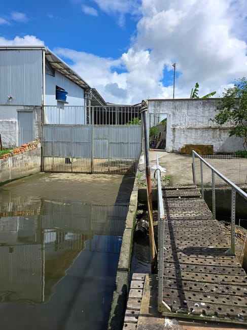 Imagem 16 - 35008923