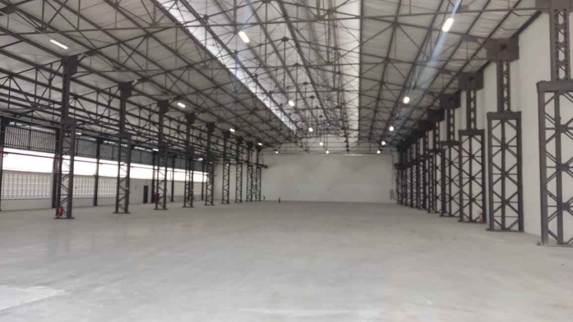 Imagem 16 - 70447033