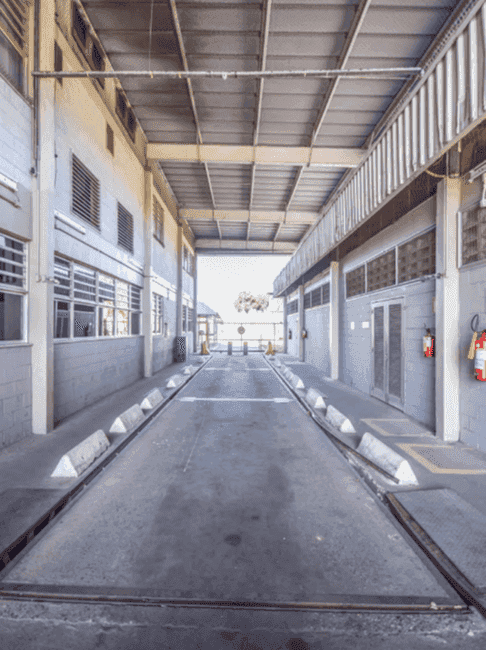 Imagem 11 - 74260357