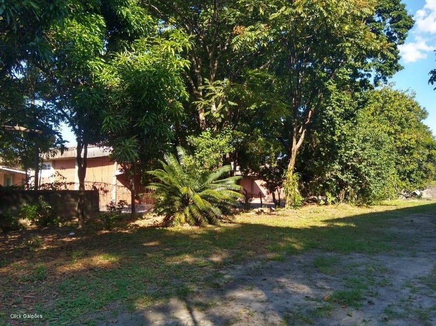 Imagem 35 - 32059277