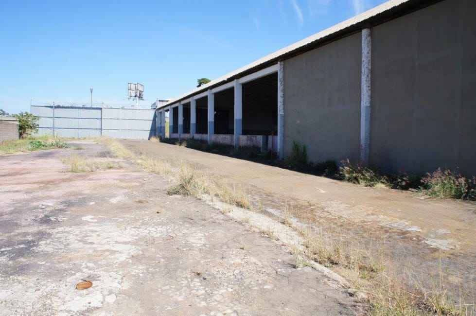 Imagem 14 - 33186729