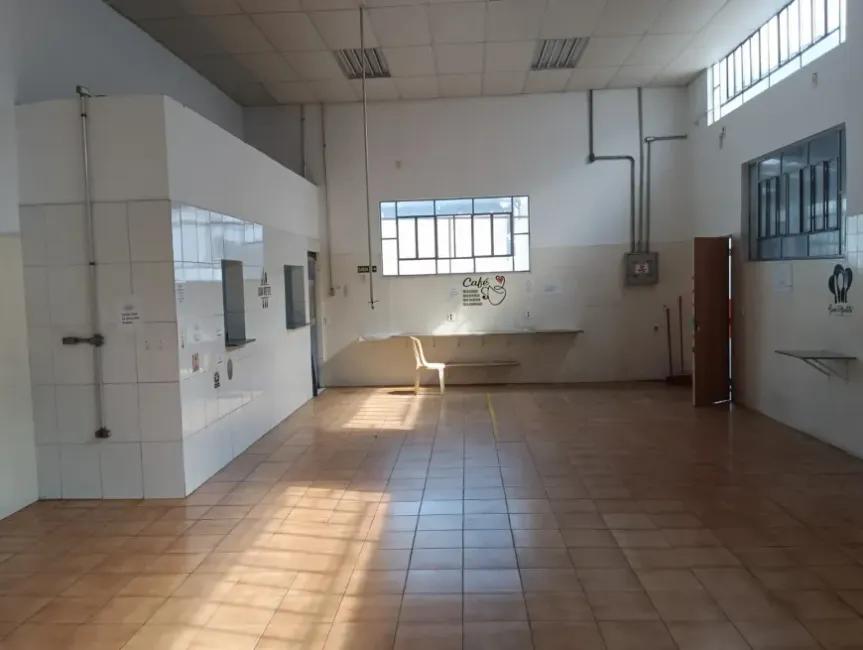 Imagem 48 - 35007937