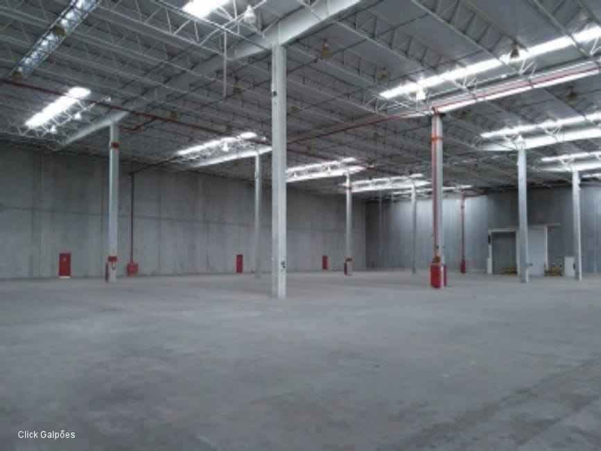 Imagem 13 - 71323095