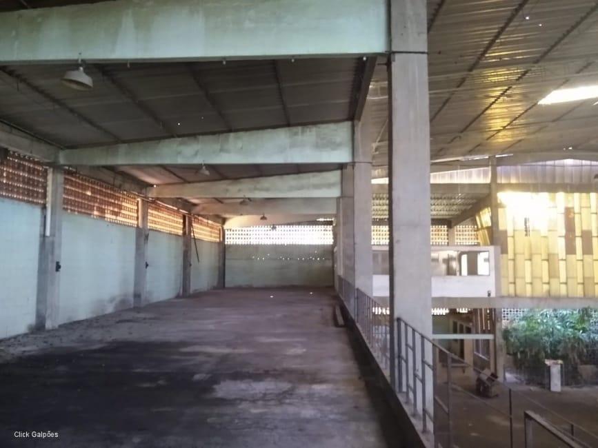 Imagem 49 - 32059277