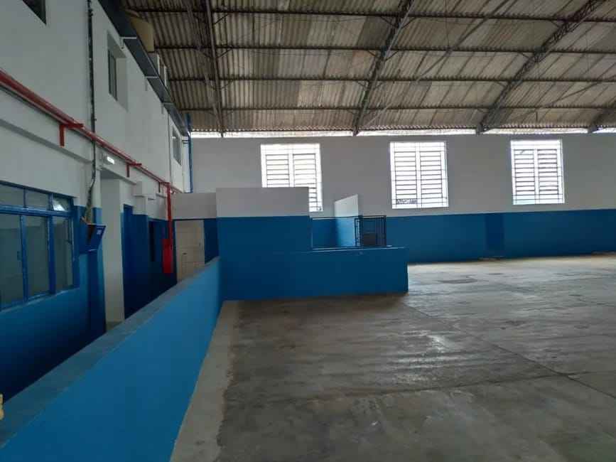 Imagem 37 - 35006773