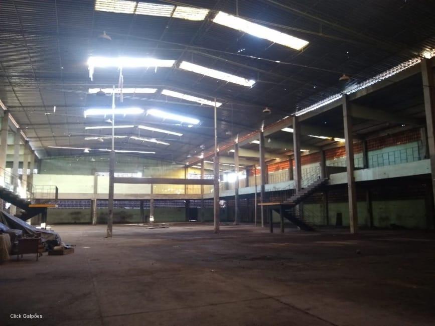 Imagem 39 - 32059277