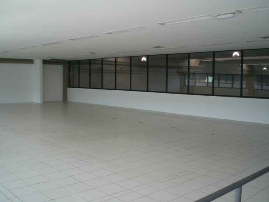 Imagem 11 - 32059122