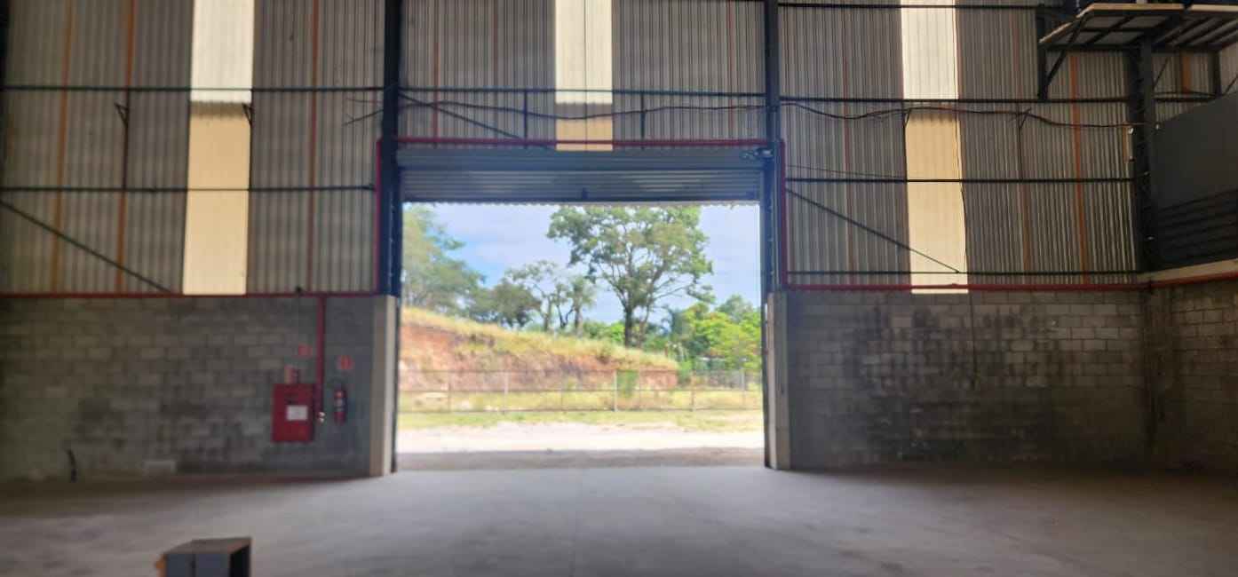 Imagem 12 - 35007364