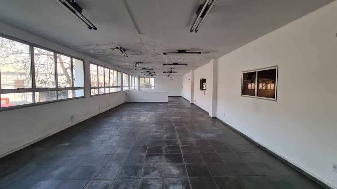 Imagem 13 - 74799930