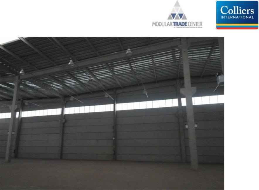 Imagem 23 - 32351935