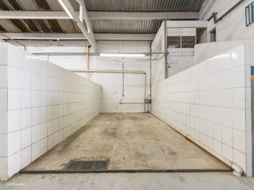 Imagem 13 - 70033942