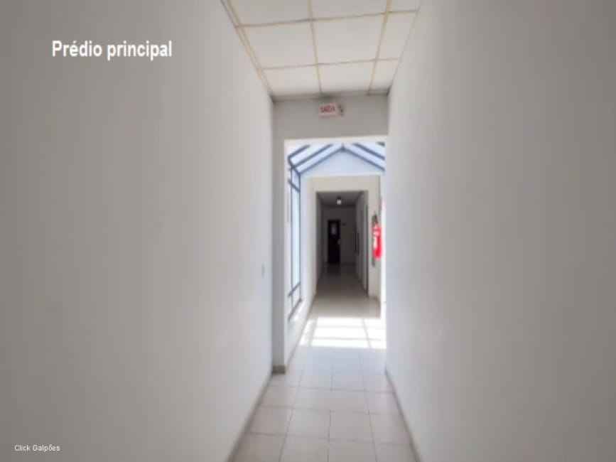 Imagem 17 - 72547374