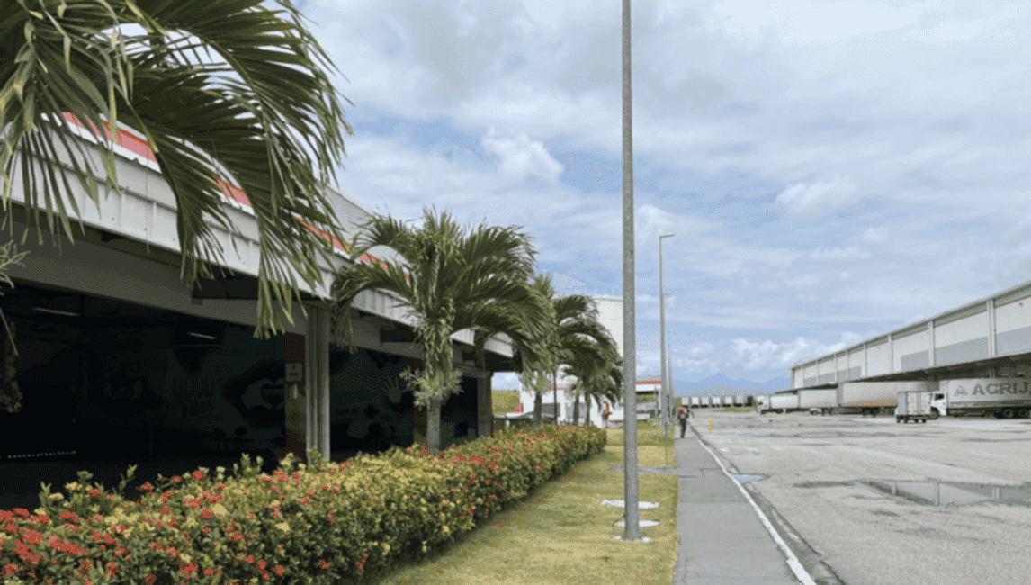 Imagem 14 - 74260372