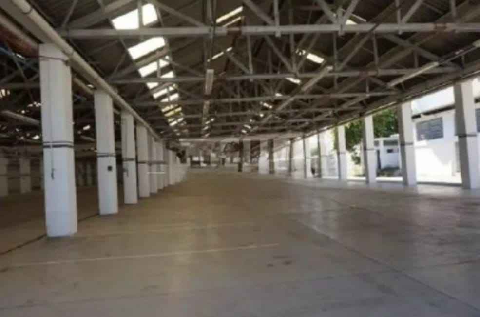 Imagem 11 - 35007690